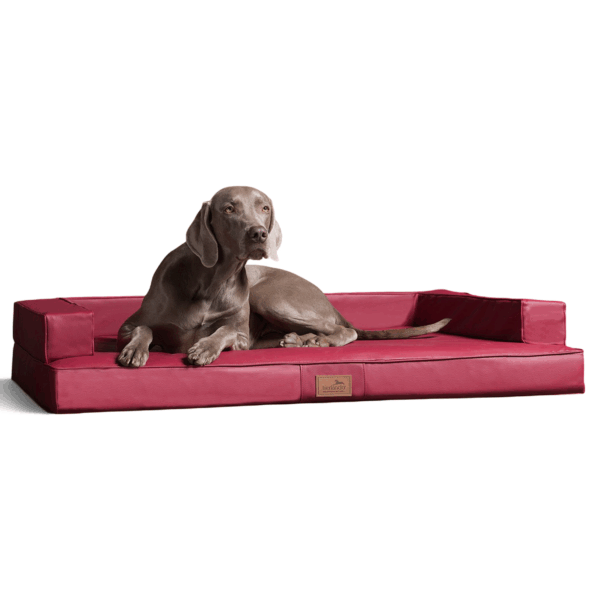 gibson orthopädisches hundesofa