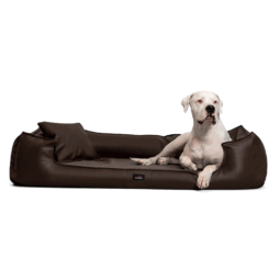 gl 01 braun goofy easy clean orthopaedisches hundebett kunstleder mit schonbezug pflegeleicht 1 1.png
