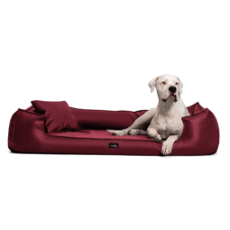gl 04 dunkelrot goofy easy clean orthopaedisches hundebett kunstleder mit schonbezug pflegeleicht 1.png