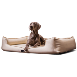 gl 05 creme goofy easy clean orthopaedisches hundebett kunstleder mit schonbezug pflegeleicht 1.png
