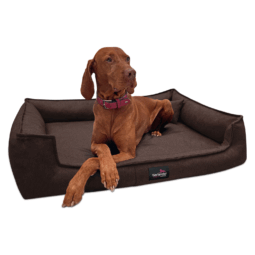 gus 01 braun gustav tierlando orthopaedisches hundebett 1.png