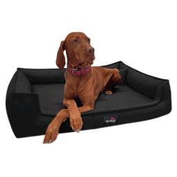 gus 03 schwarz gustav tierlando orthopaedisches hundebett 1 1.png