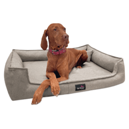 gus 05 creme gustav tierlando orthopaedisches hundebett 1 1.png