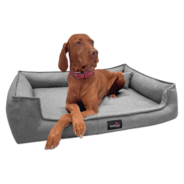 gustav orthopädisches hundebett