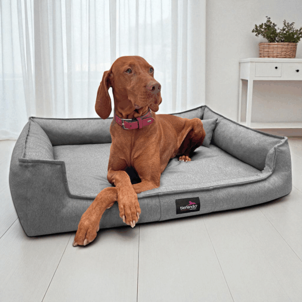 gustav orthopädisches hundebett