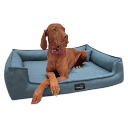 gus 21 blau gustav tierlando orthopaedisches hundebett 1 1.png