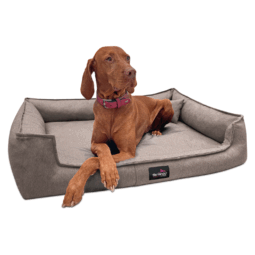 gus 34 dunkelbeige gustav tierlando orthopaedisches hundebett 1.png