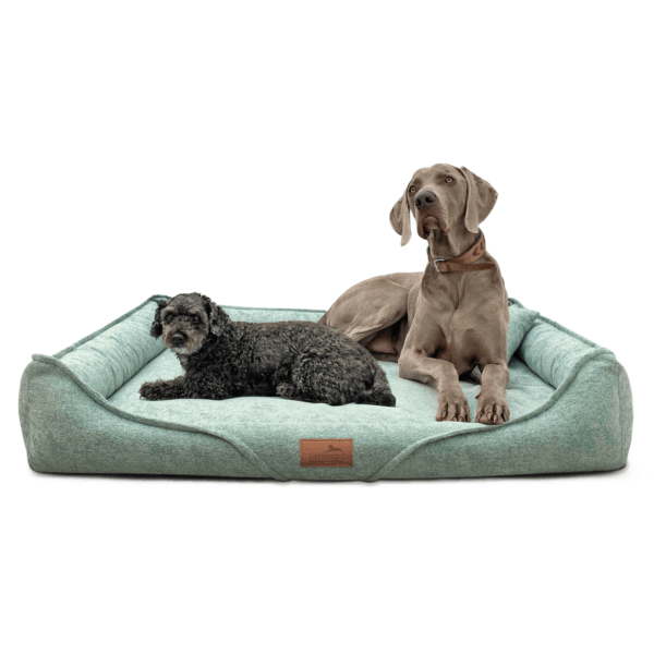 ken orthopädisches hundebett