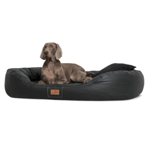 lennart vip visco plus orthopädisches hundebett