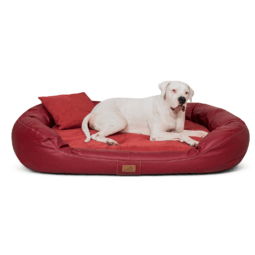 le al 04 dunkelrot lennart vip velours kunstleder orthopaedisches hundebett tierlando 1 2.png