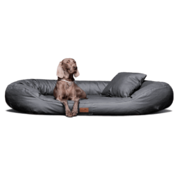 le ll 02 graphit lennart easy clean kunstleder orthopaedisches hundebett tierlando 1.png
