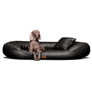 lennart easy clean orthopädisches hundesofa