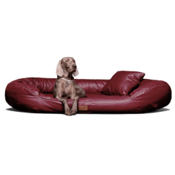 le ll 04 dunkelrot lennart easy clean kunstleder orthopaedisches hundebett tierlando 1.png