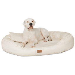 le ll 05 creme lennart easy clean kunstleder orthopaedisches hundebett tierlando 1 2.png