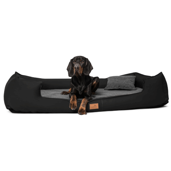 linus orthopädisches hundebett