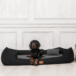 linus orthopädisches hundebett