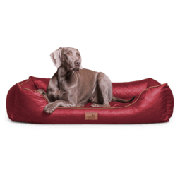 ls ll 04 dunkelrot orthopaedisches hundebett louis tierlando kunstleder gesteppt xxl 1.png