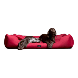moritz komfort hundebett | hundesofa m xxxl 90 110 130 160 185 cm