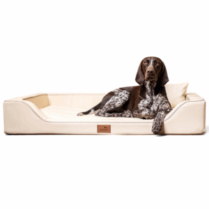 melody latex anti haar kunstleder | orthopädisches luxus hundebett