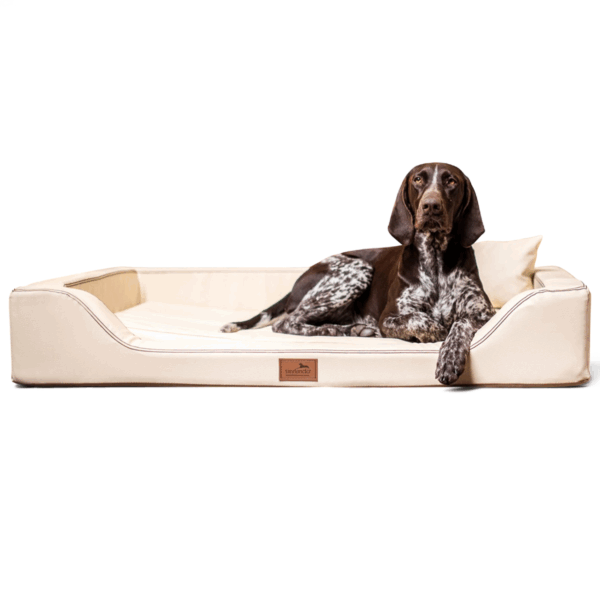 melody latex anti haar kunstleder | orthopädisches luxus hundebett