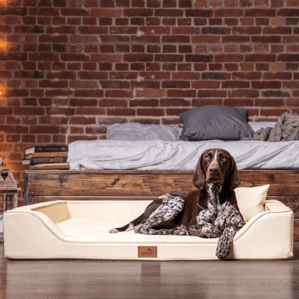 melody latex anti haar kunstleder | orthopädisches luxus hundebett