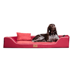 mdy tl 04 dunkelrot melody orthopaedisches hundebett luxus latex tierlando xxl kunstleder 1 1.png
