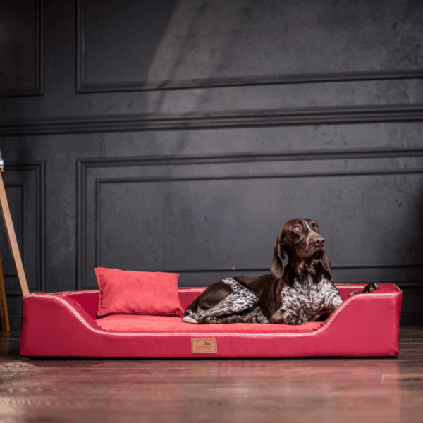 melody vip orthopädisches hundebett