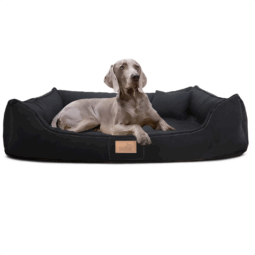 maddox soft orthopädisches hundebett hundesofa