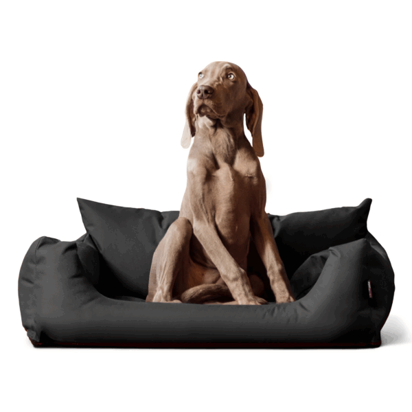 hundesofa s m l hundekorb katzenbett 65 80 100cm | nemo hundebett