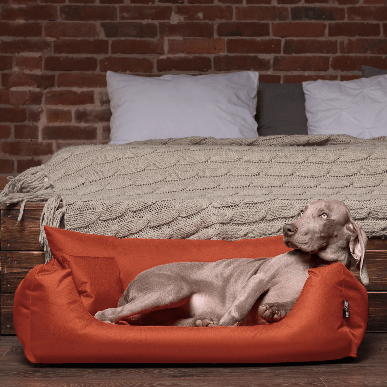 nemo hundebett | ziegelrot | 65x50cm
