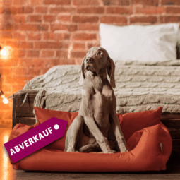 sale | nemo hundebett | ziegelrot | 65x50cm