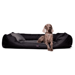 nestor | orthopädisches hundebett