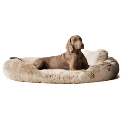 pam 14 beige tierlando orthopaedisches hundebett pamela shaggy kuschelig gemuetlich weich 1.png