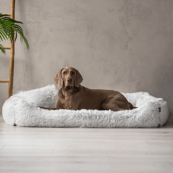 pedro shaggy orthopädisches hundebett