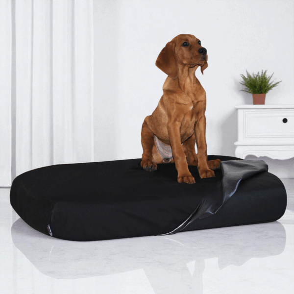quick cover medic oval modelle ares | balou | sammy | pepper | lennart | marlon | philip