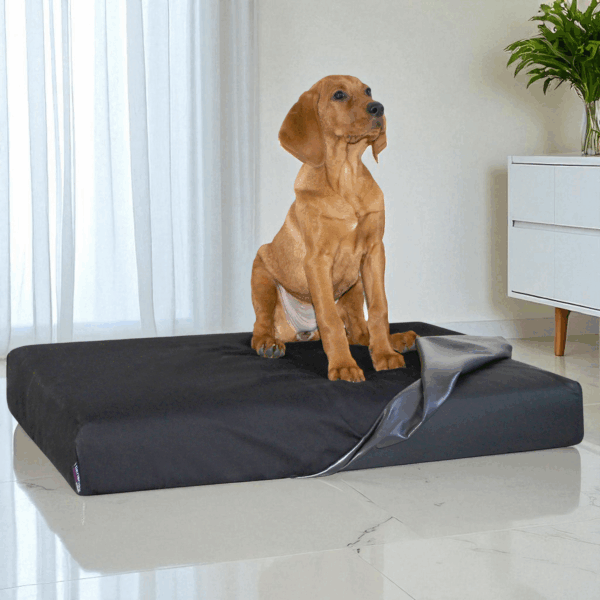 quick cover medic uni matratzenschoner hugo | floki | stuart 80 100 120 150 cm | 13 15 cm hoch