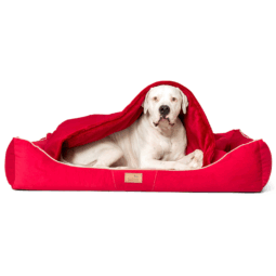 rudolph orthopädisches hundebett, inkl. schonbezug
