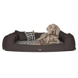 sc 01 braun scotch tierlando orthopaedisches hundebett xxl visco karo kariert 1.png