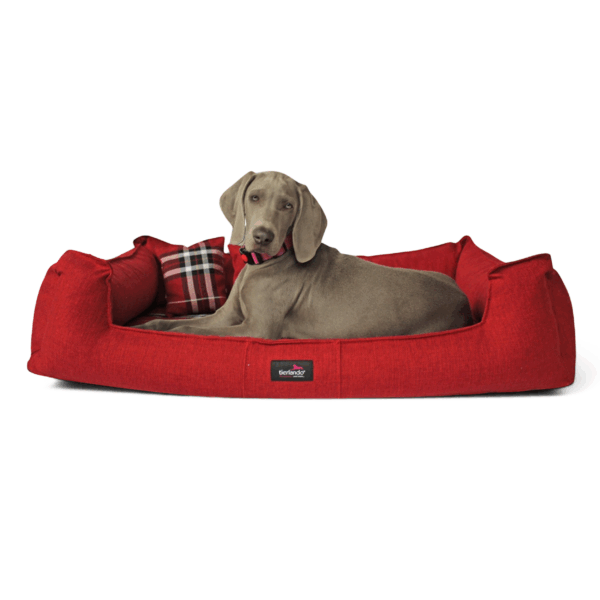 scotch visco 2 in 1 bezug orthopädisches hundebett