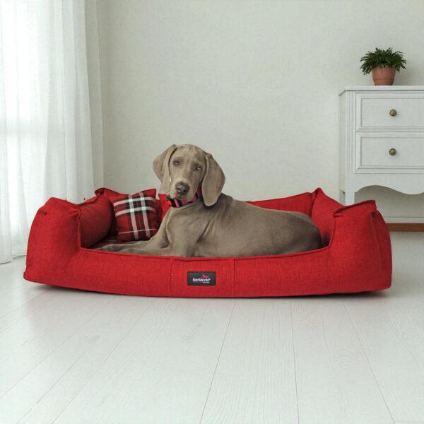 scotch visco 2 in 1 bezug orthopädisches hundebett