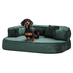 sh3 38 petrol sharleen tierlando orthopaedisches hundebett hundesofa kuschelig 1.png