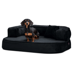 sh3 40 anthrazit sharleen tierlando orthopaedisches hundebett hundesofa kuschelig 1.png