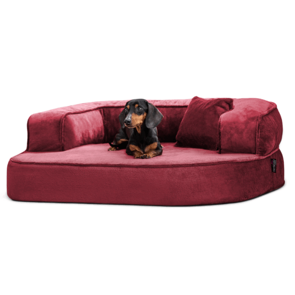 sharleen orthopädisches hundesofa