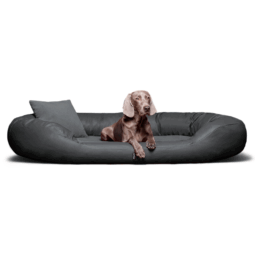 sammy vip orthopädisches hundebett