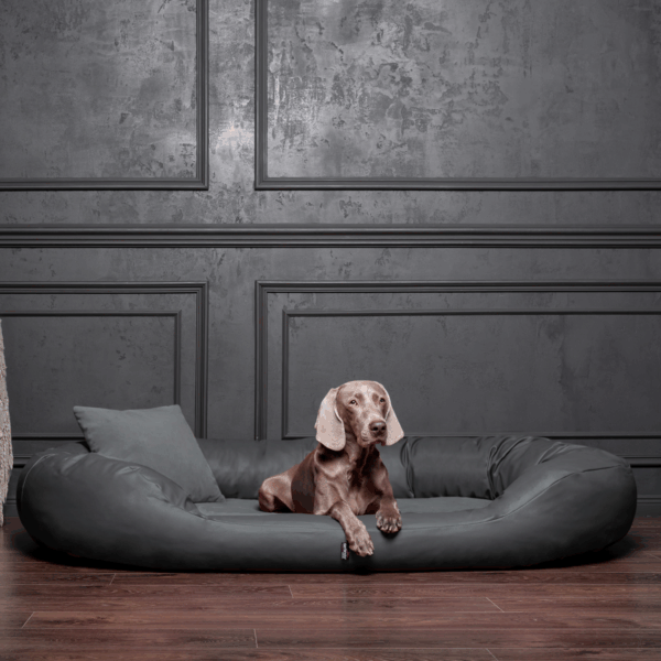 sammy vip orthopädisches hundebett