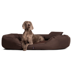 sammy orthopädisches hundebett