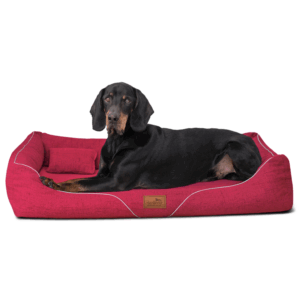 william couture orthopädisches hundebett
