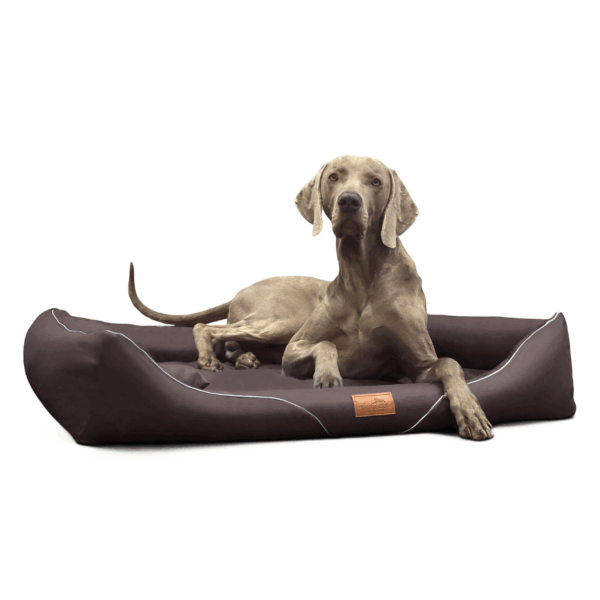 william easy clean orthopädisches hundebett