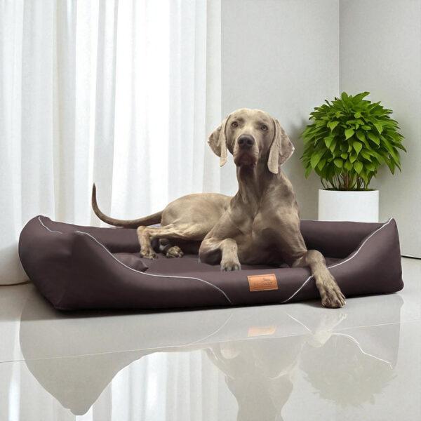 william easy clean orthopädisches hundebett