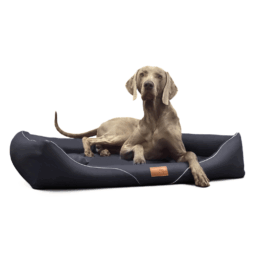 wil ll 03 schwarz william easy clean kunstleder orthopaedisches hundebett tierlando 1.png